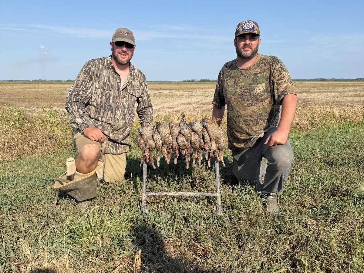 Two hunters with a rack of teal on cut South Louisiana ground