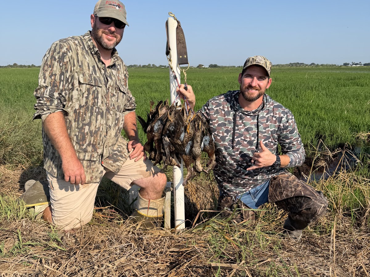 Two hunters with a strap of teal beside a green rice field